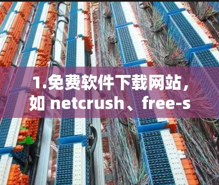 1.免费软件下载网站，如 netcrush、free-swizz、free-swizz2、free-swizz3、free-swizz4 等，这些网站提供各种免费软件的叶子节点