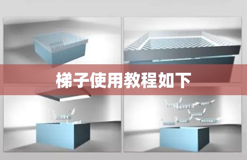 梯子使用教程如下 梯子使用教程如下