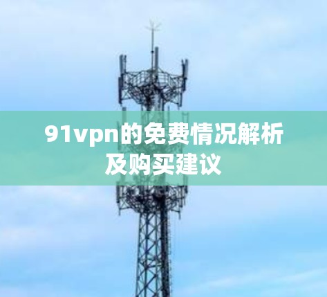 91vpn的免费情况解析及购买建议