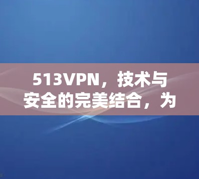 513VPN，技术与安全的完美结合，为您的网络带来更安全的未来