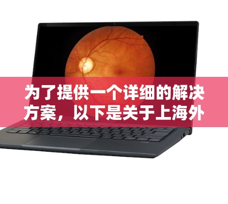 为了提供一个详细的解决方案，以下是关于上海外网加速器的综合指南