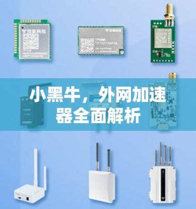 小黑牛，外网加速器全面解析