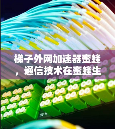 梯子外网加速器蜜蜂，通信技术在蜜蜂生态中的应用与未来展望