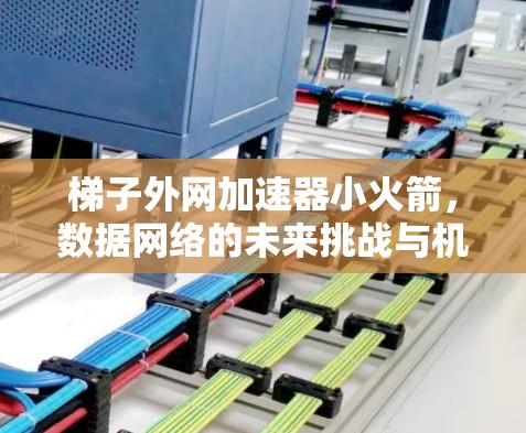 梯子外网加速器小火箭，数据网络的未来挑战与机遇