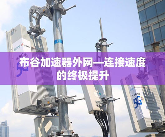 布谷加速器外网—连接速度的终极提升