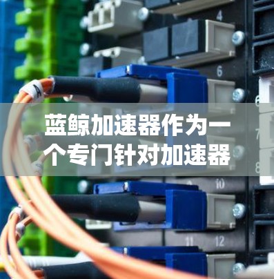 蓝鲸加速器作为一个专门针对加速器功能的外部网站，其功能和使用需要谨慎处理，以确保安全性和系统兼容性。以下是对蓝鲸加速器的详细分析和建议