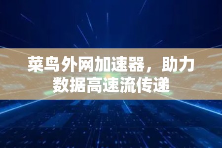 菜鸟外网加速器，助力数据高速流传递