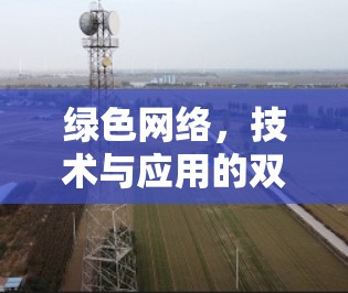 绿色网络，技术与应用的双刃剑