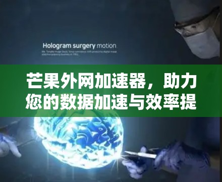 芒果外网加速器，助力您的数据加速与效率提升