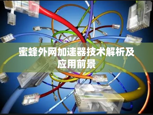 蜜蜂外网加速器技术解析及应用前景