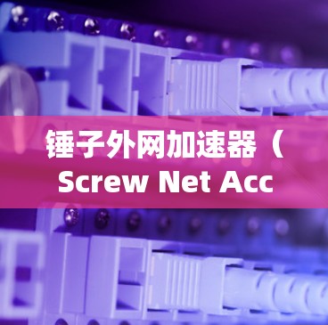锤子外网加速器（Screw Net Accelerator）是一种用于加速或提升设备的一种工具，具体应用可能取决于使用场景。以下是一些可能的解释和使用方法
