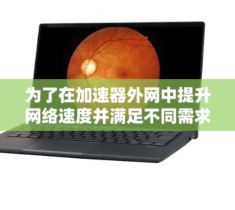 为了在加速器外网中提升网络速度并满足不同需求，以下是详细的建议