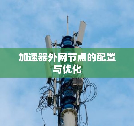 加速器外网节点的配置与优化 加速器外网节点的配置与优化