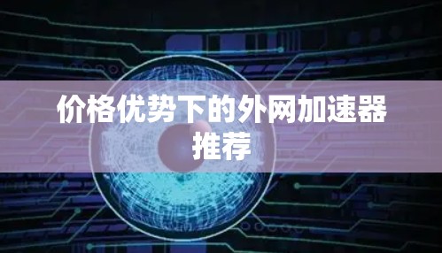 价格优势下的外网加速器推荐