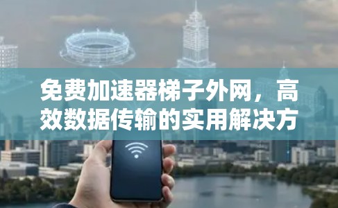 免费加速器梯子外网，高效数据传输的实用解决方案