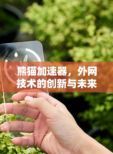 熊猫加速器,外网技术的创新与未来展望 熊猫加速器,外网技术的创新与未来展望