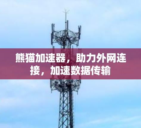 熊猫加速器，助力外网连接，加速数据传输