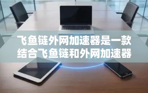 飞鱼链外网加速器是一款结合飞鱼链和外网加速器的综合工具，旨在提升网站加载速度并提供额外的钓鱼功能。以下是其使用步骤和功能的详细说明