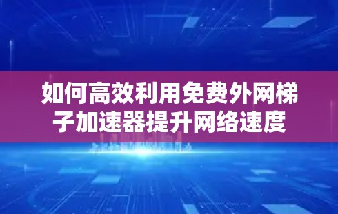 如何高效利用免费外网梯子加速器提升网络速度