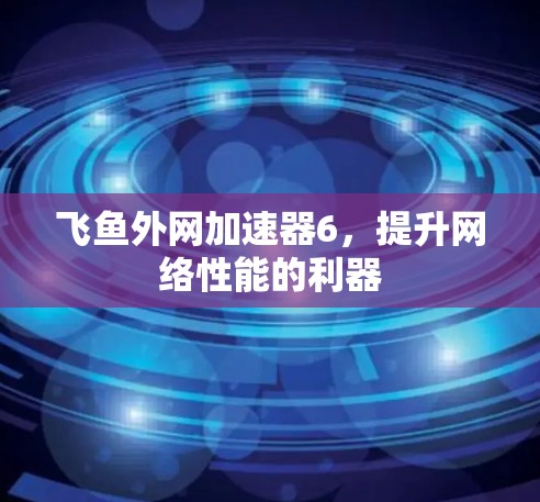 飞鱼外网加速器6，提升网络性能的利器