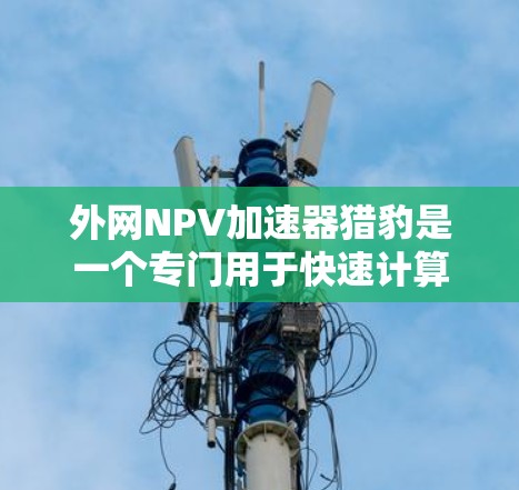 外网NPV加速器猎豹是一个专门用于快速计算和分析NPV的外部加速工具，支持多种数据格式转换和快速计算。以下是它的主要特点和功能