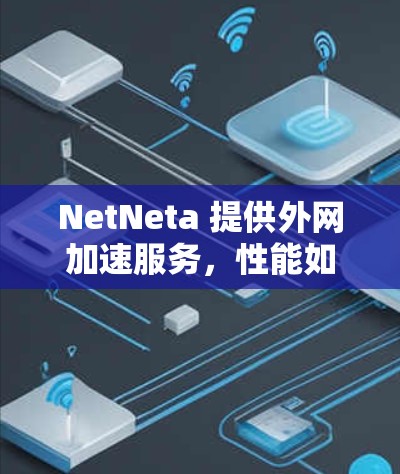 NetNeta 提供外网加速服务，性能如何？