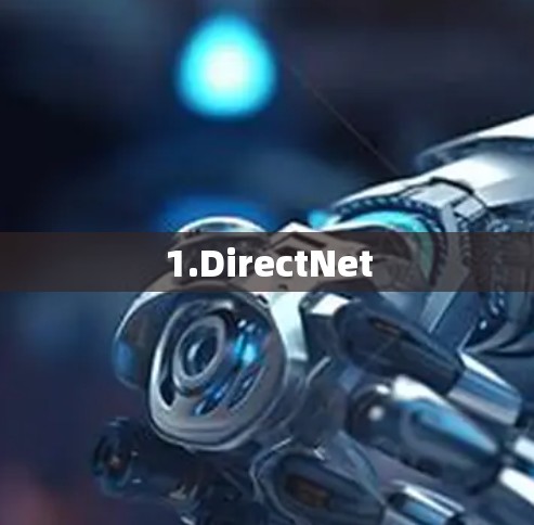 1.DirectNet