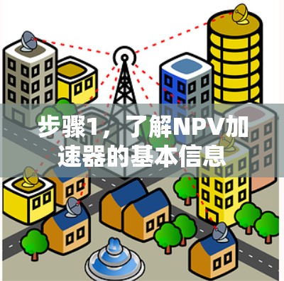 步骤1，了解NPV加速器的基本信息