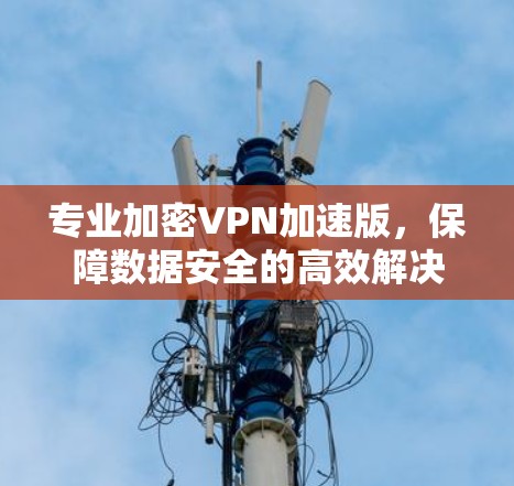 专业加密VPN加速版，保障数据安全的高效解决方案