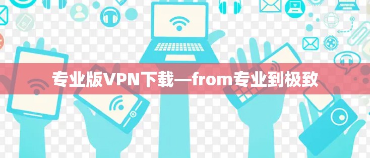 专业版VPN下载—from专业到极致
