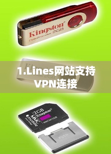 1.Lines网站支持VPN连接