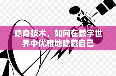 隐身技术，如何在数字世界中优雅地隐藏自己
