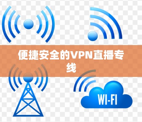 便捷安全的VPN直播专线