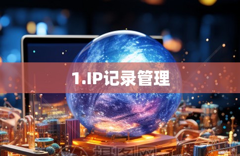 1.IP记录管理