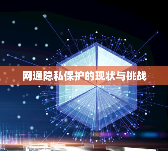 网通隐私保护的现状与挑战 网通隐私保护的现状与挑战