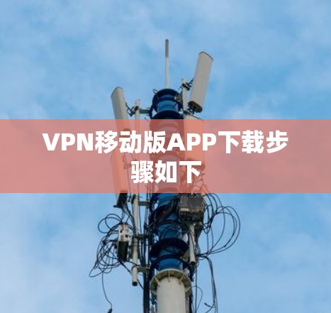 VPN移动版APP下载步骤如下
