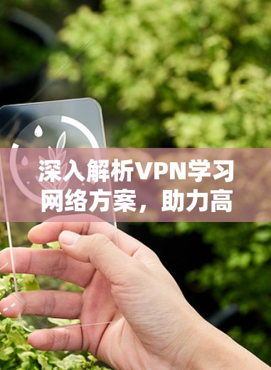 深入解析VPN学习网络方案，助力高效学习体验