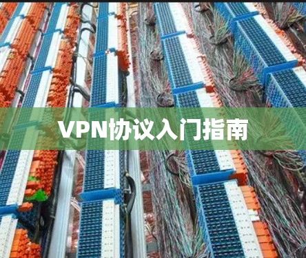 VPN协议入门指南 VPN协议入门指南