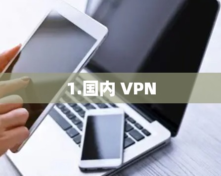 1.国内 VPN