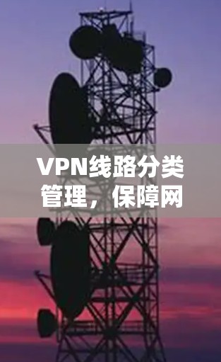 VPN线路分类管理,保障网络安全的创新解决方案 VPN线路分类管理,保障网络安全的创新解决方案