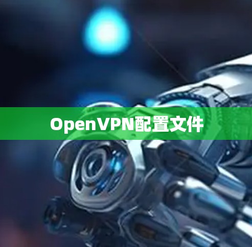 OpenVPN配置文件