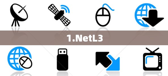 1.NetL3