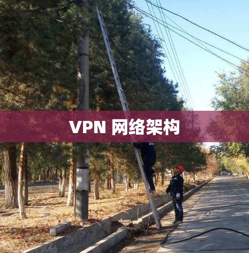 VPN 网络架构
