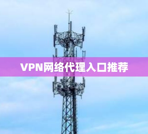 VPN网络代理入口推荐