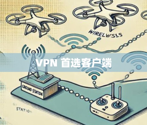 VPN 首选客户端 VPN 首选客户端