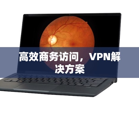 高效商务访问，VPN解决方案
