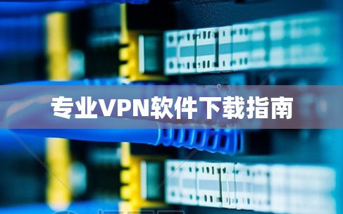 专业VPN软件下载指南