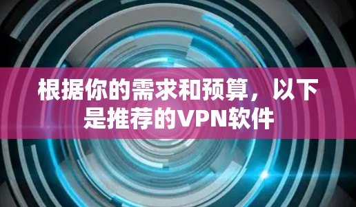 根据你的需求和预算，以下是推荐的VPN软件