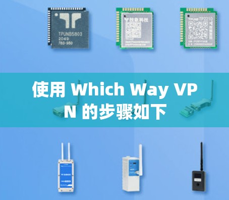 使用 Which Way VPN 的步骤如下