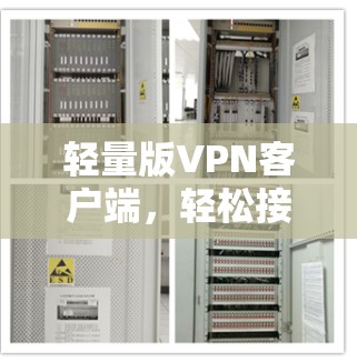 轻量版VPN客户端，轻松接入本地网络的轻量级解决方案